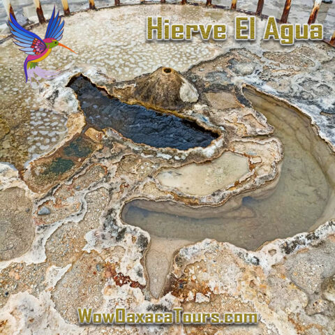 Tours En Oaxaca Hierve El Agua Wow Oaxaca Tours