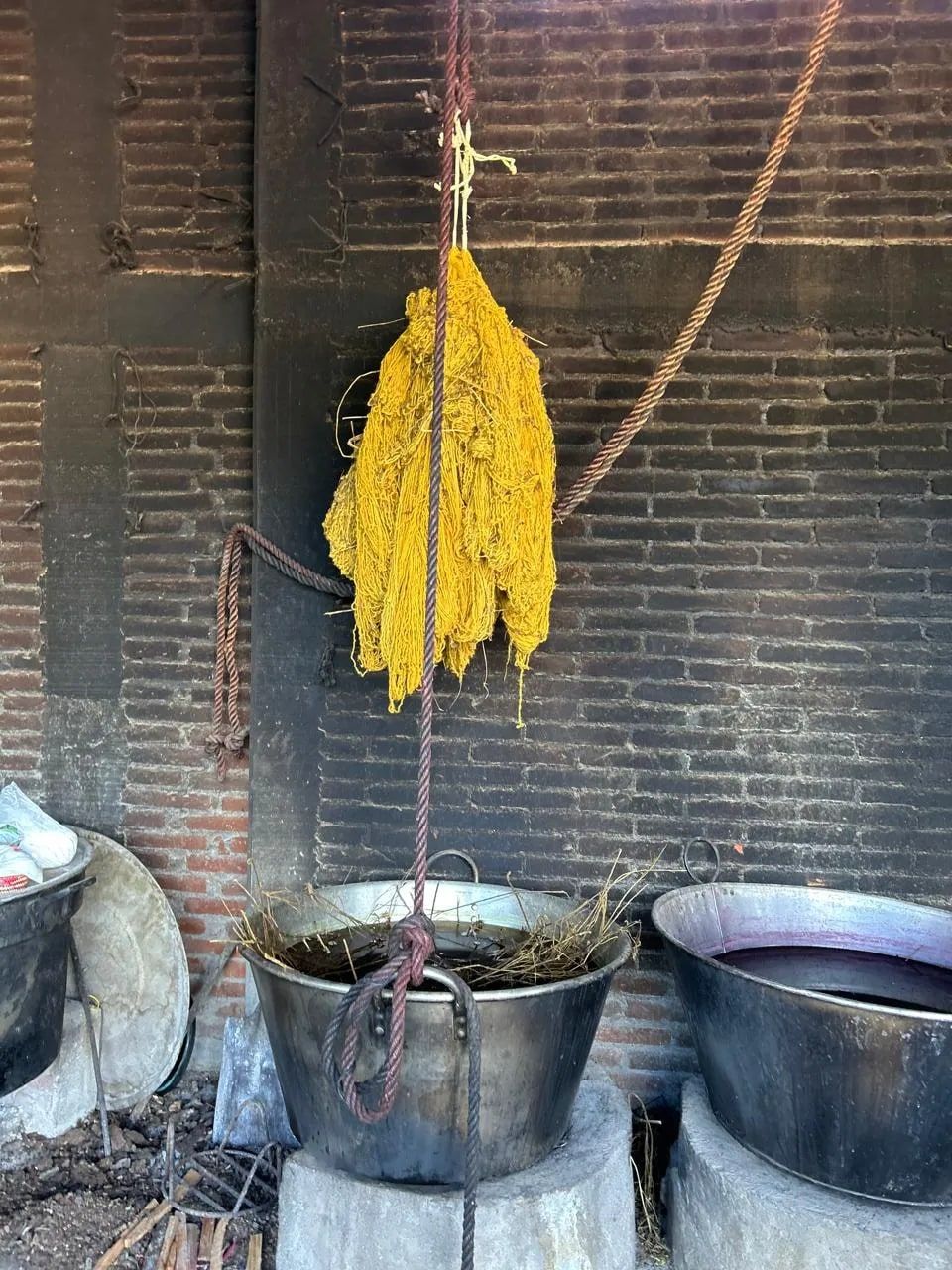 Wool skeins dyed yellow hanging over the dye pots