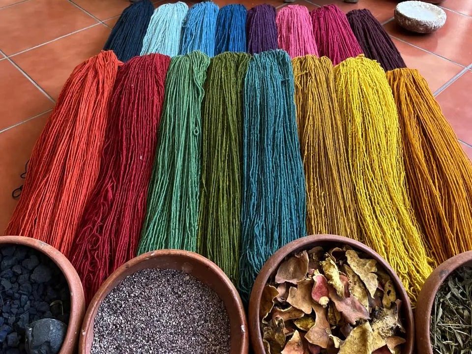 Skeins of wool dyed with natural dyes in Teotitlán del Valle, next to bowls of cochineal and plants